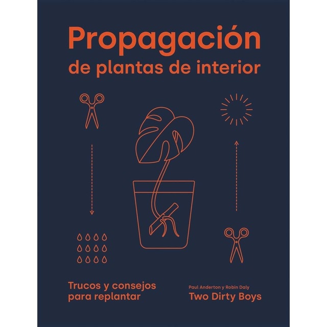 Imagen 0 de Propagación de plantas de interior: Trucos y consejos para replantar
