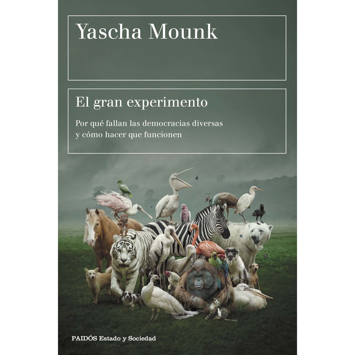 El gran experimento: Por qué fallan las democracias diversas y cómo hacer que funcionen (Capa mole com abas) 1
