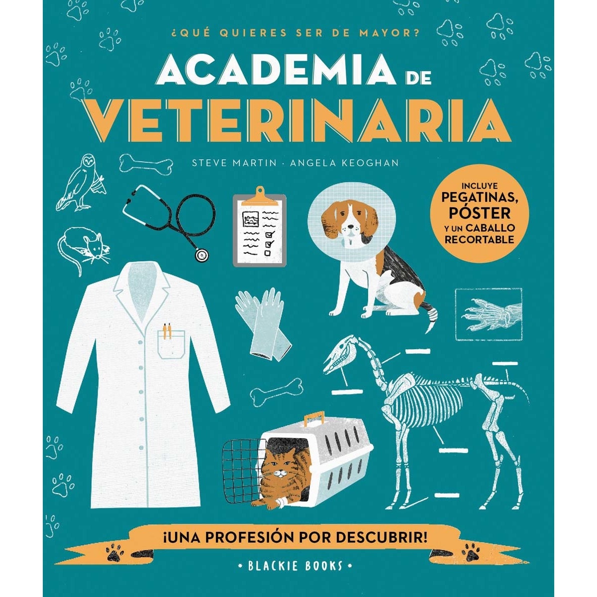 Imagem 0 de Academia de VETERINARIA (Capa mole)