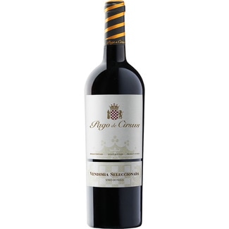 vino tinto vendimia seleccionada DO Navarra botella 75 cl - Pago De Cirsus