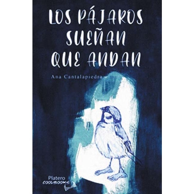 LOS PÁJAROS SUEÑAN QUE ANDAN 1