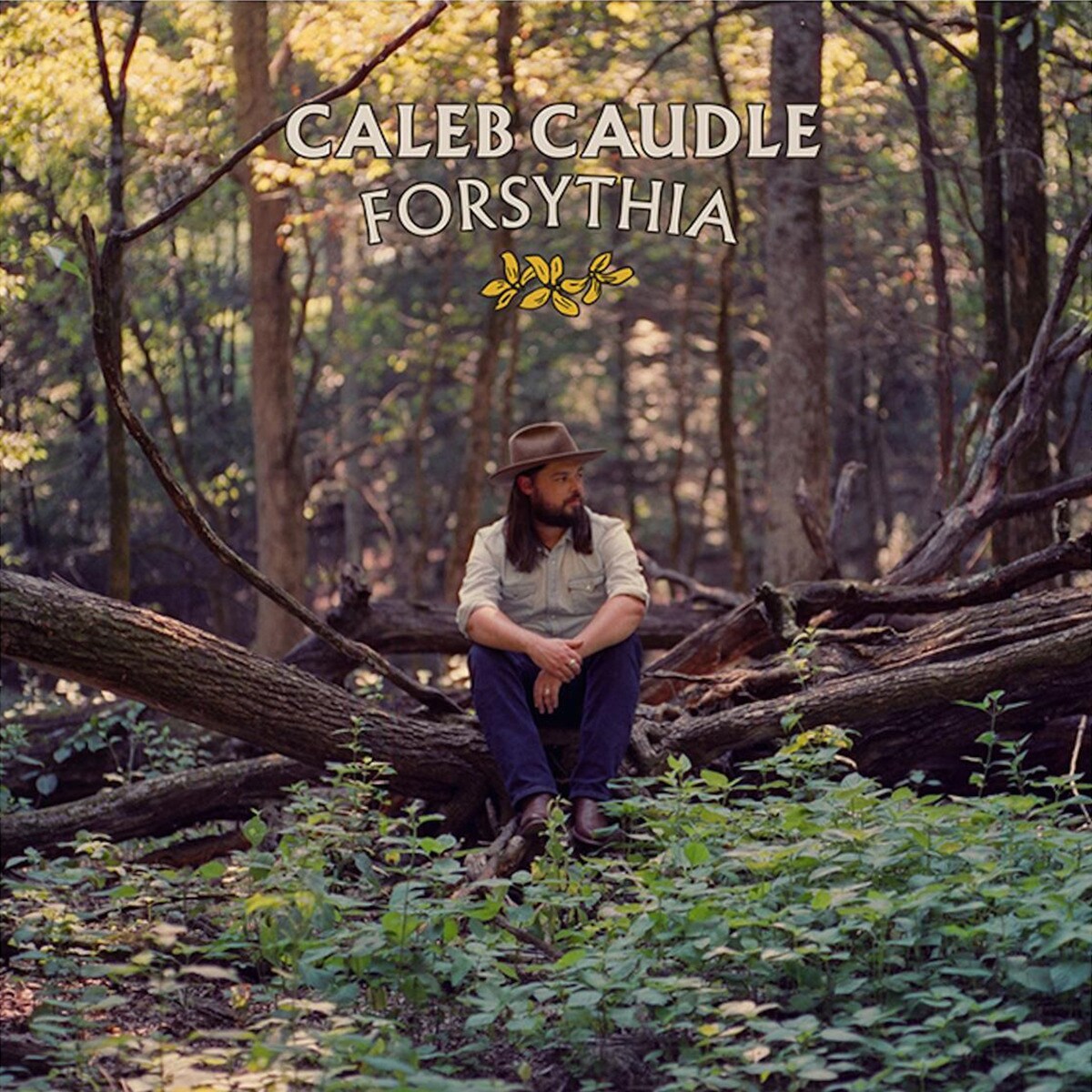 Imagem 0 de Forsythia (LP-Vinil)