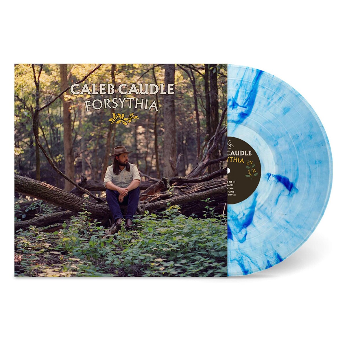 Forsythia (LP-Vinil) 2