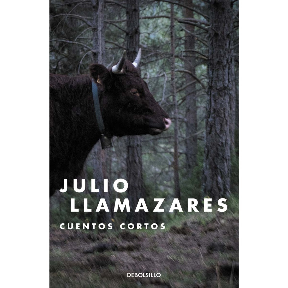 Imagem 0 de Cuentos cortos(Tapa blanda)