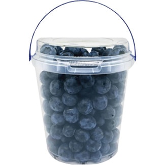 Arándano Sweet bote 500 g