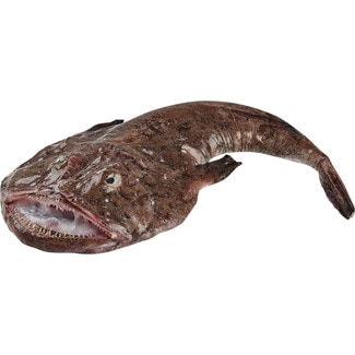 Tamboril 1/3 Kg Peso Aproximado por unidade 2 kg