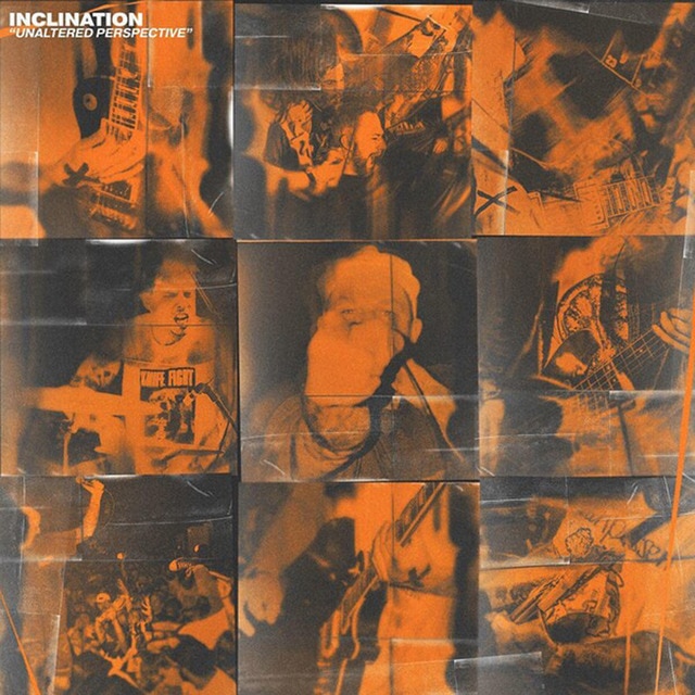 Imagen 0 de Unaltered perspective (LP-Vinilo)