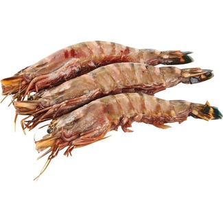 Camarão Tigre 4/6 kg