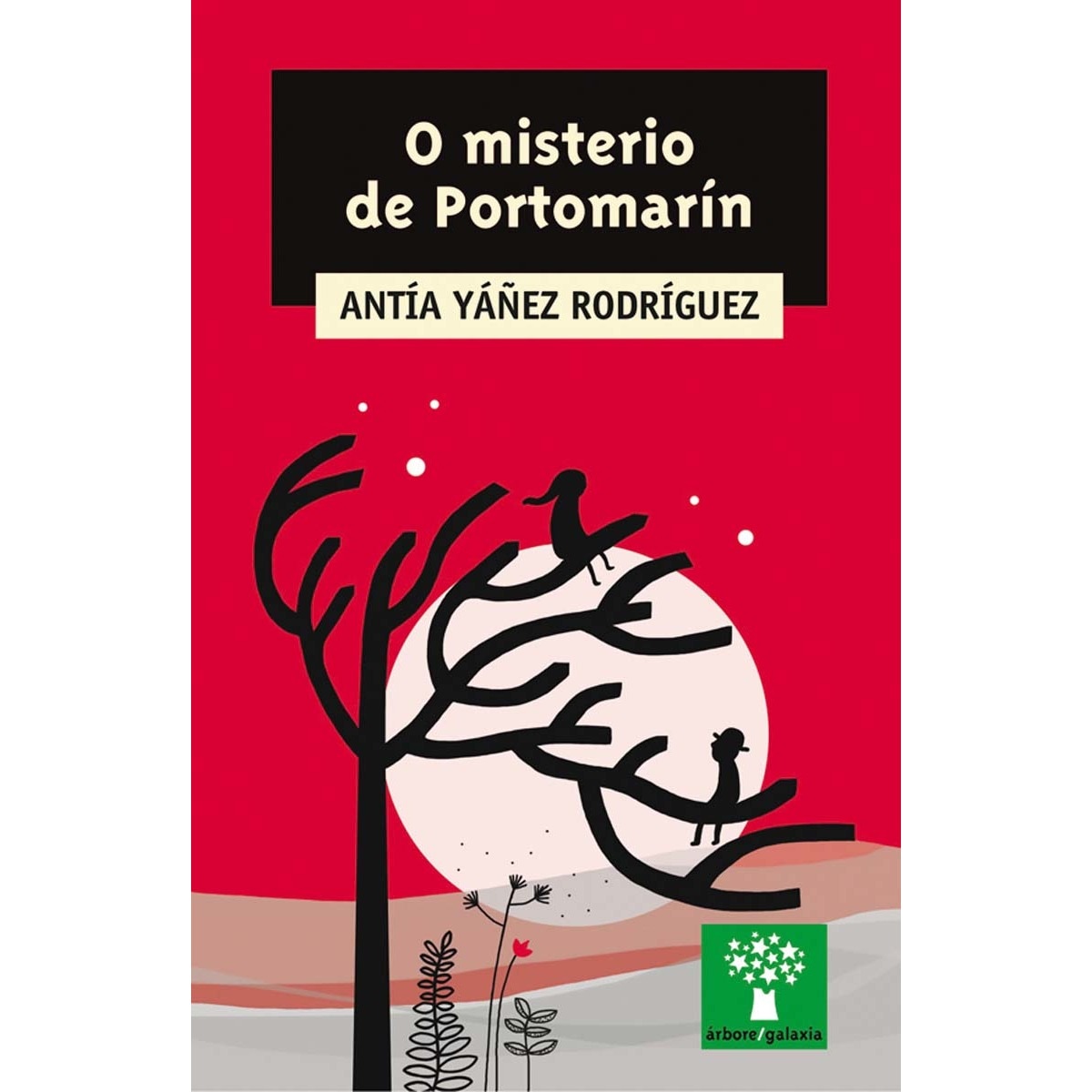 O misterio de Portomarin (Capa mole) 1
