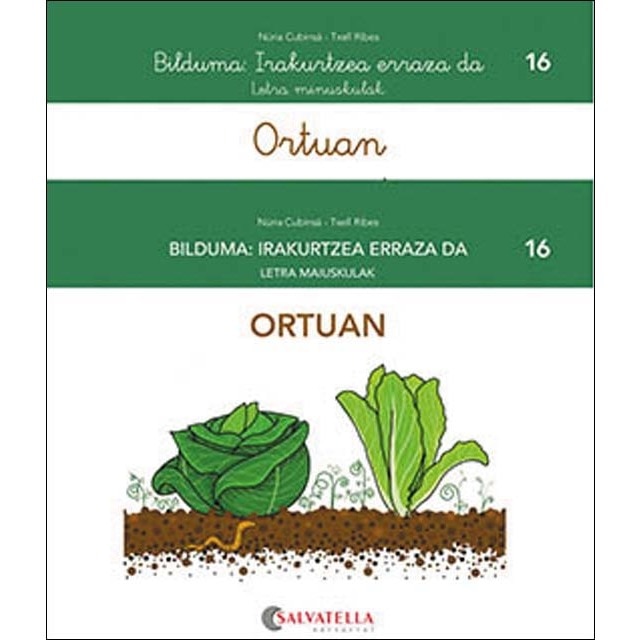 Ortuan (Capa mole) 1