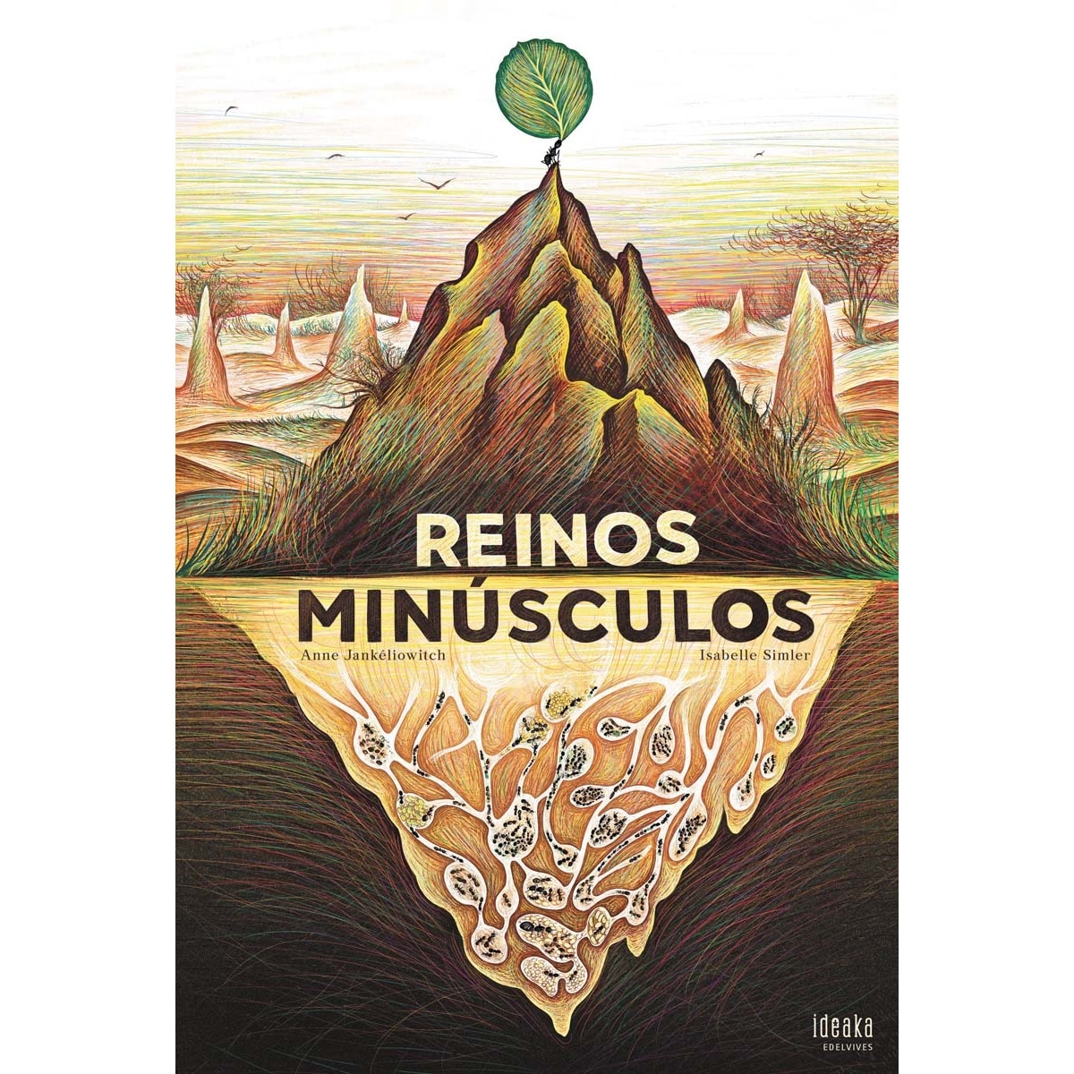 Reinos minúsculos 1