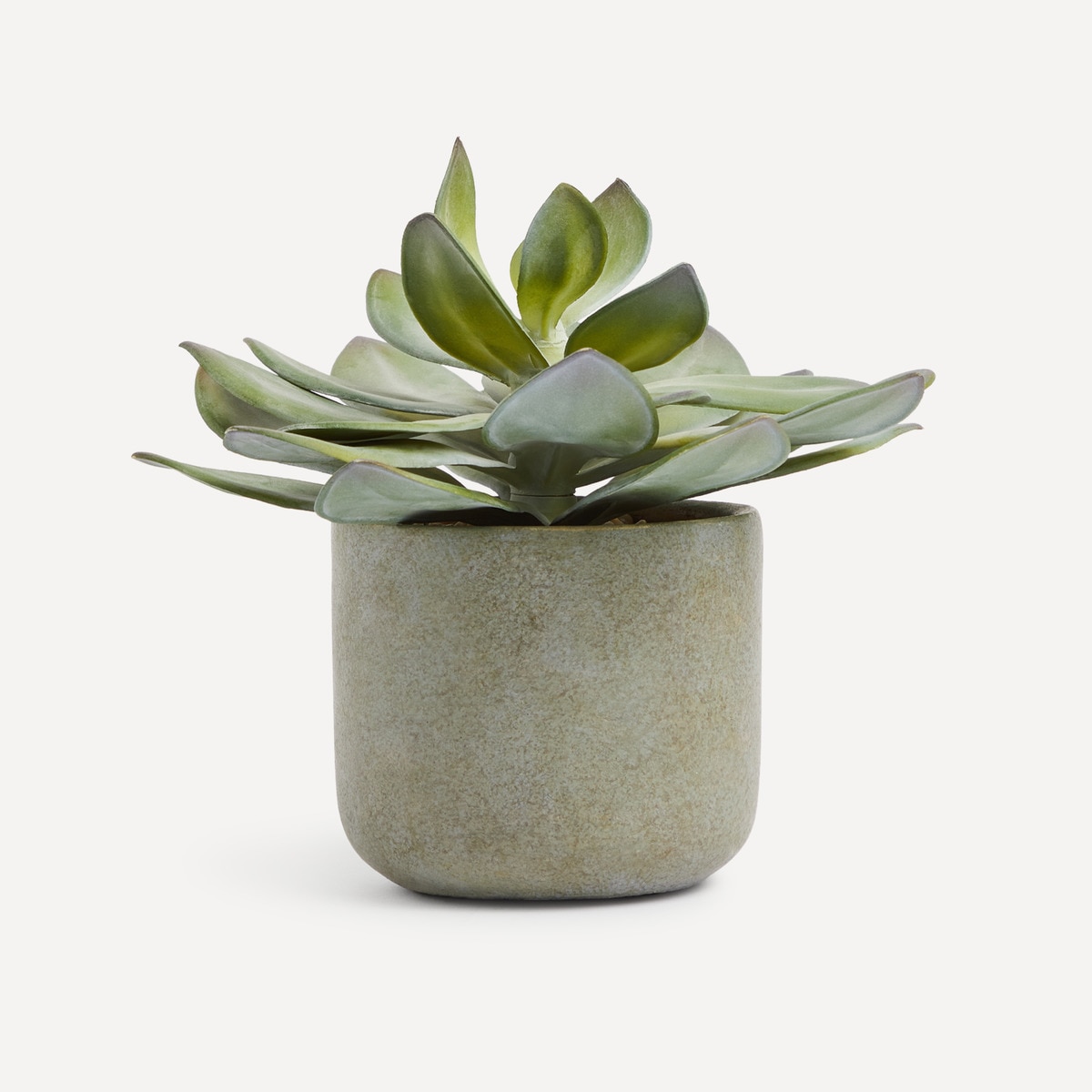 Plante artificielle avec feuille plate