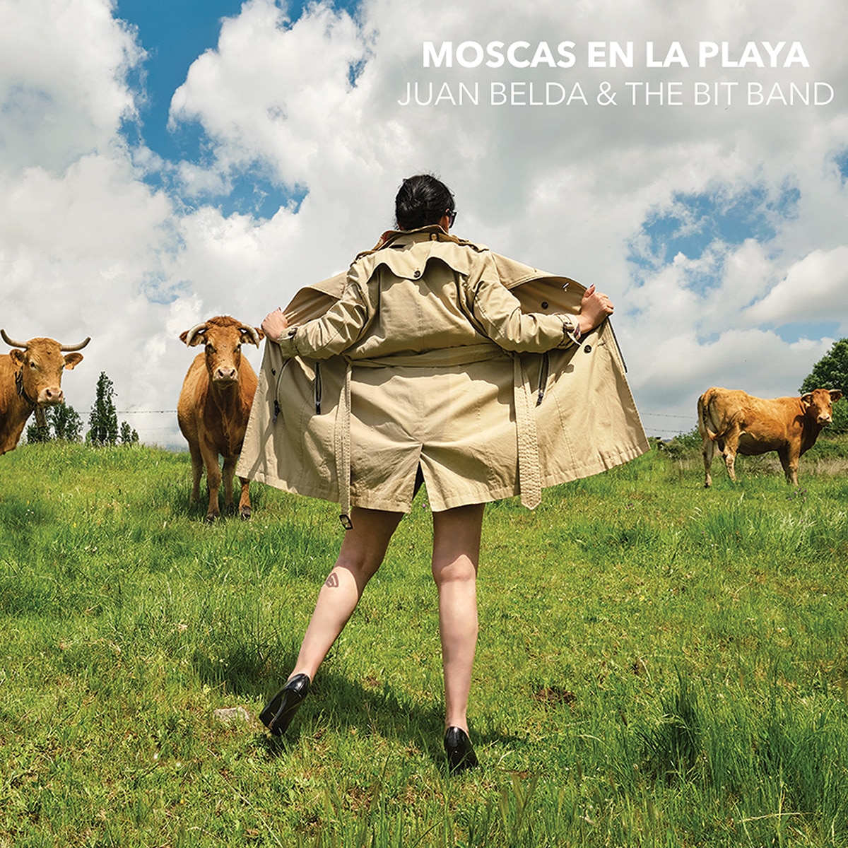 Imagen 0 de Moscas en la playa (CD)