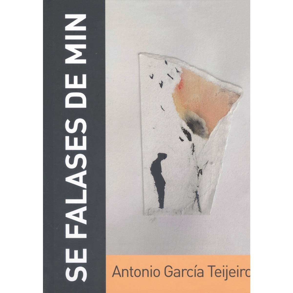 Imagem 0 de SE FALASES DE MIN