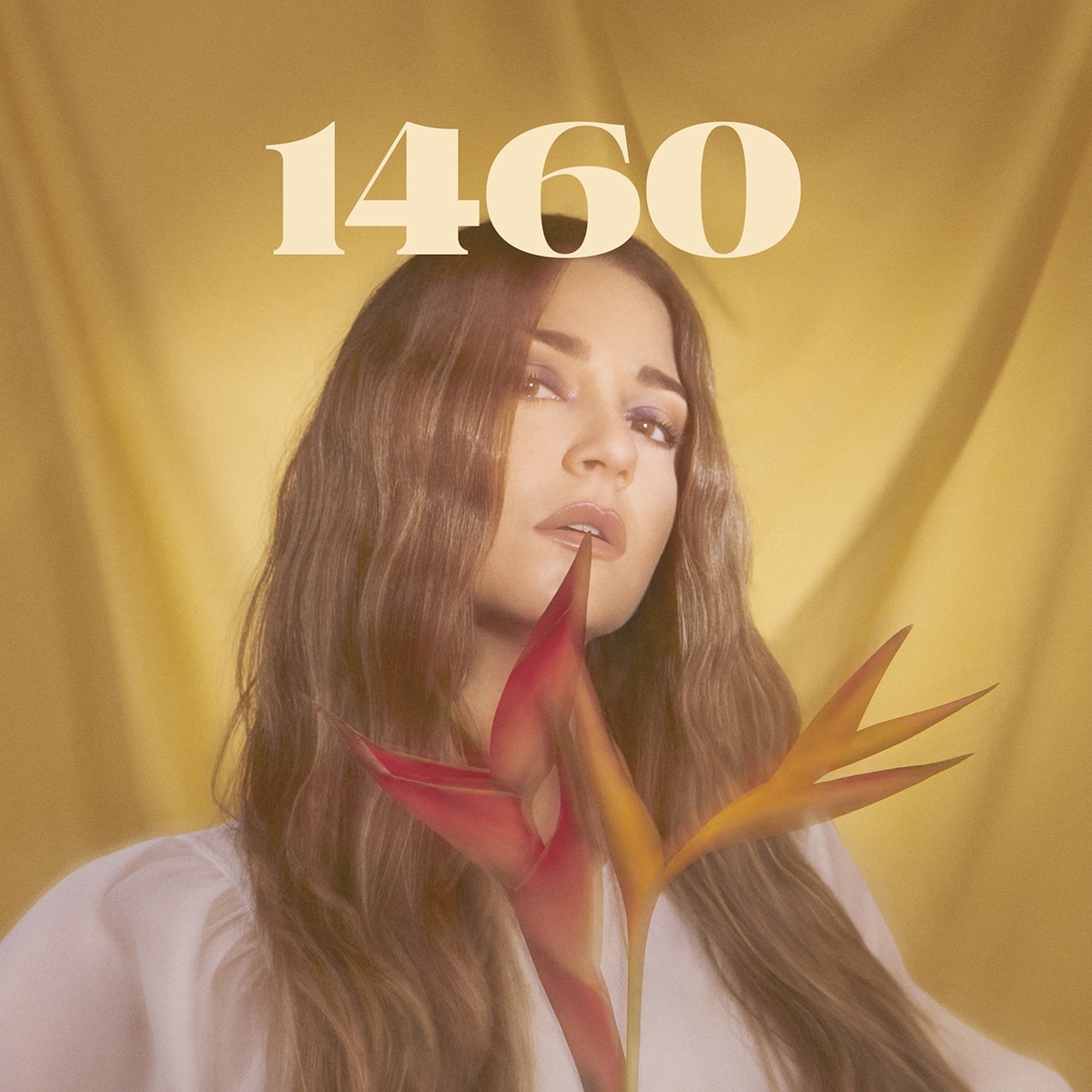 Imagem 0 de 1460 (LP-Vinil)