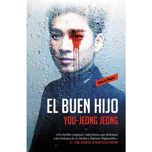 Imagen 0 de El buen hijo (Tapa blanda)