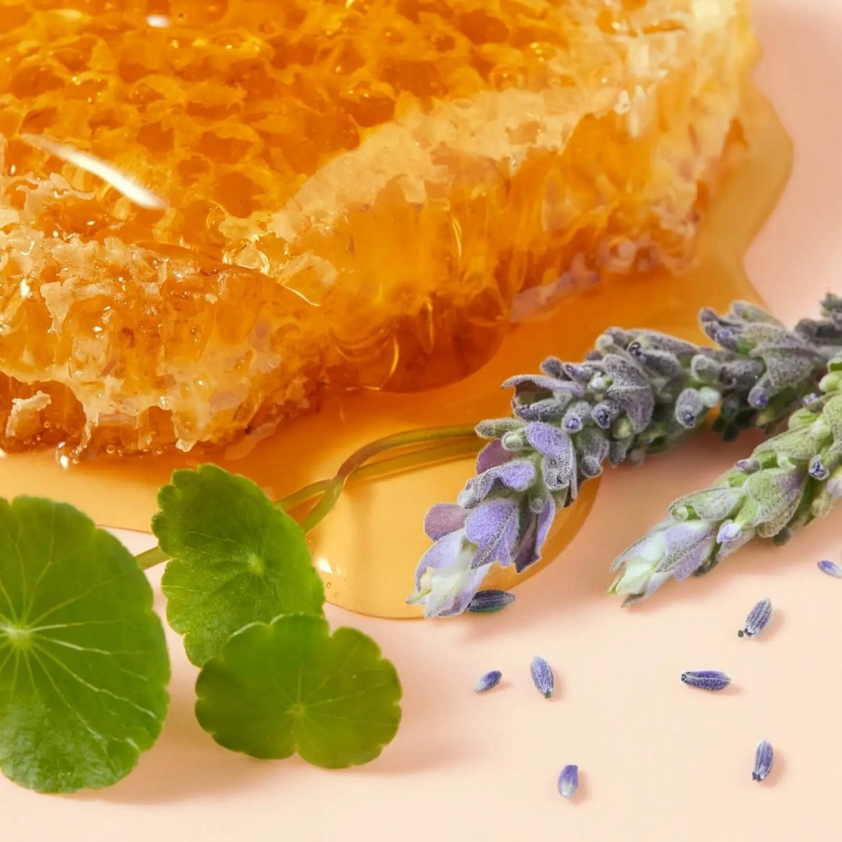 Creme de Mãos Cica Rêve de Mel - 50 ml 6