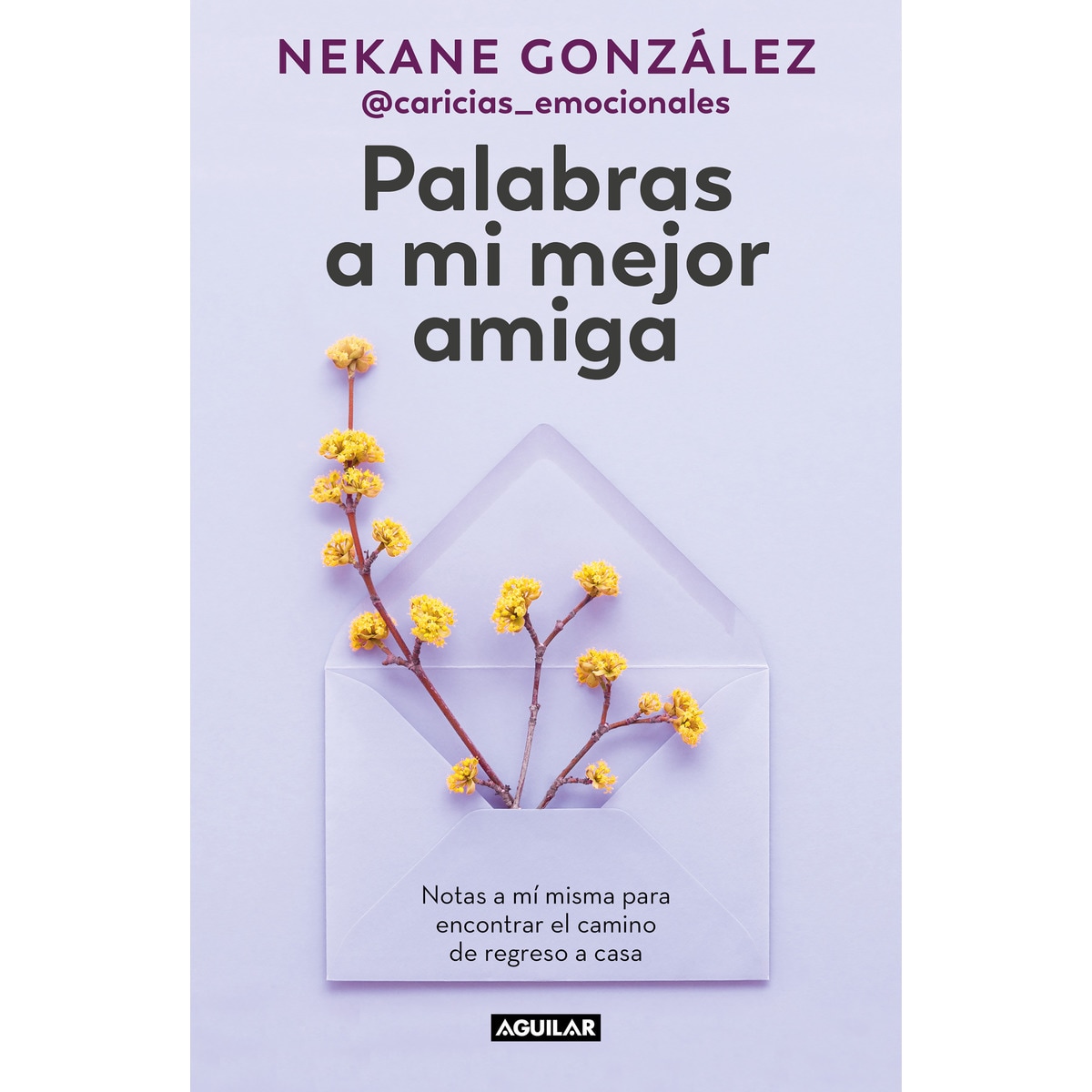 Imagen 0 de Palabras a mi mejor amiga: Notas a mí misma para encontrar el camino de regreso a casa  (Tapa blanda)
