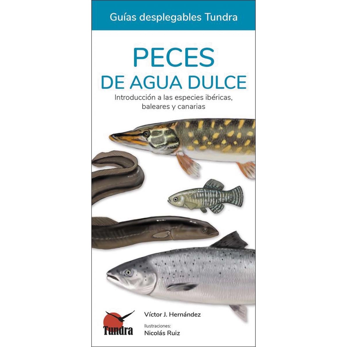 Imagem 0 de Peces de agua dulce - guias desplegables tundra