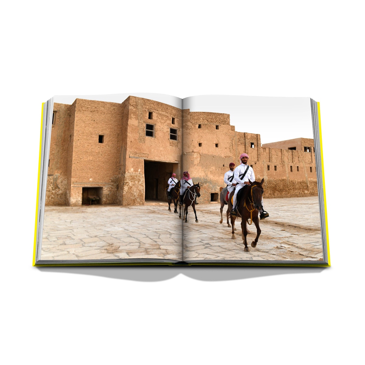 Al ahsa oasis 10