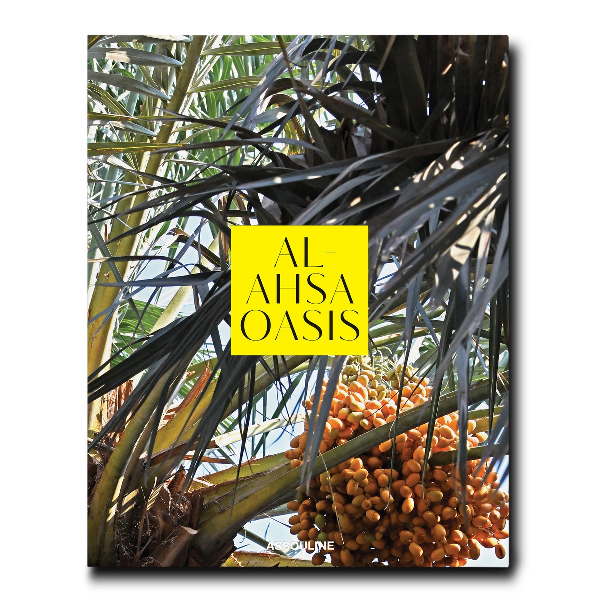 Al ahsa oasis 3