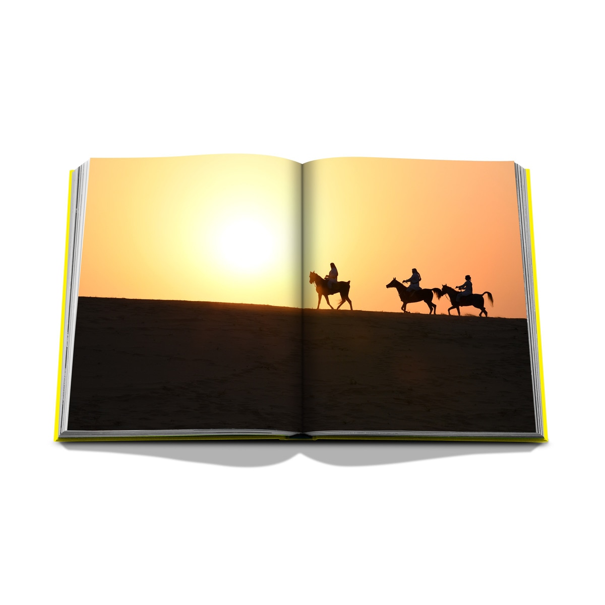Al ahsa oasis 5