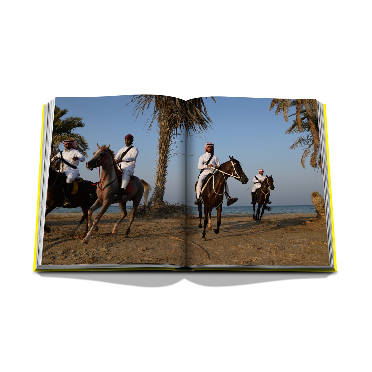 Al ahsa oasis 6