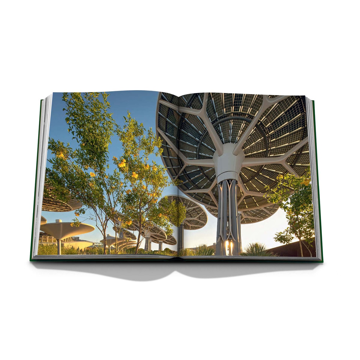 Terra: the sustainability pavilion 4