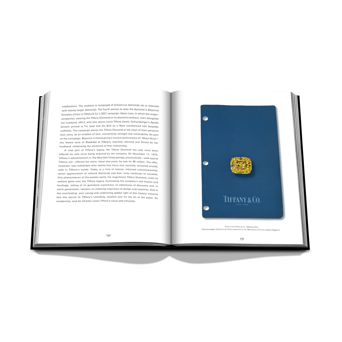 Tiffany & co vision & virtuosity (ultimate) 11