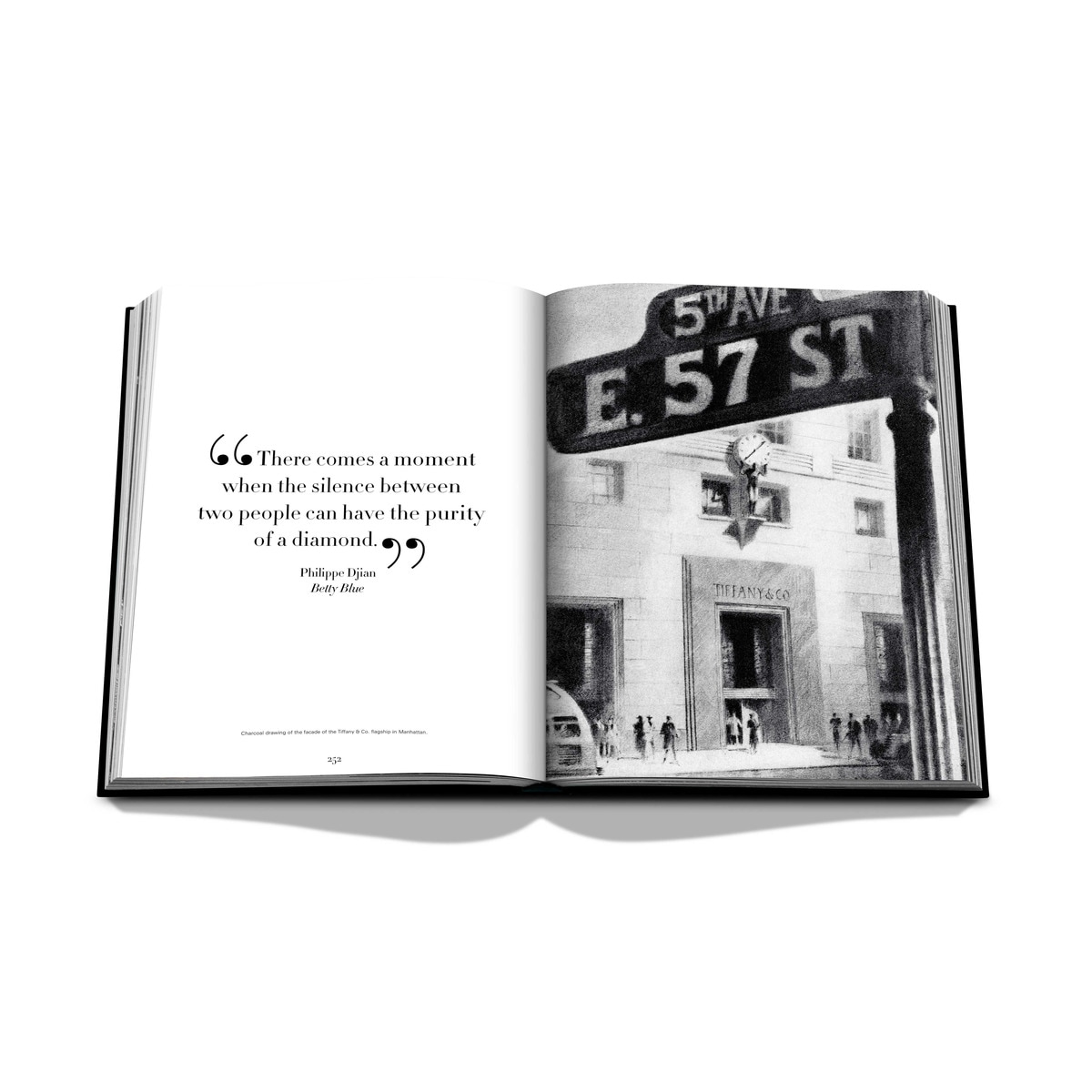 Tiffany & co vision & virtuosity (ultimate) 12