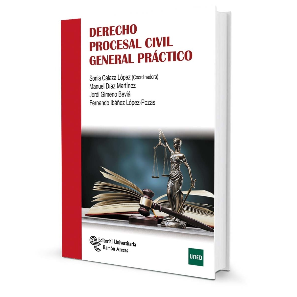 Derecho procesal civil general práctico (Capa mole) 1