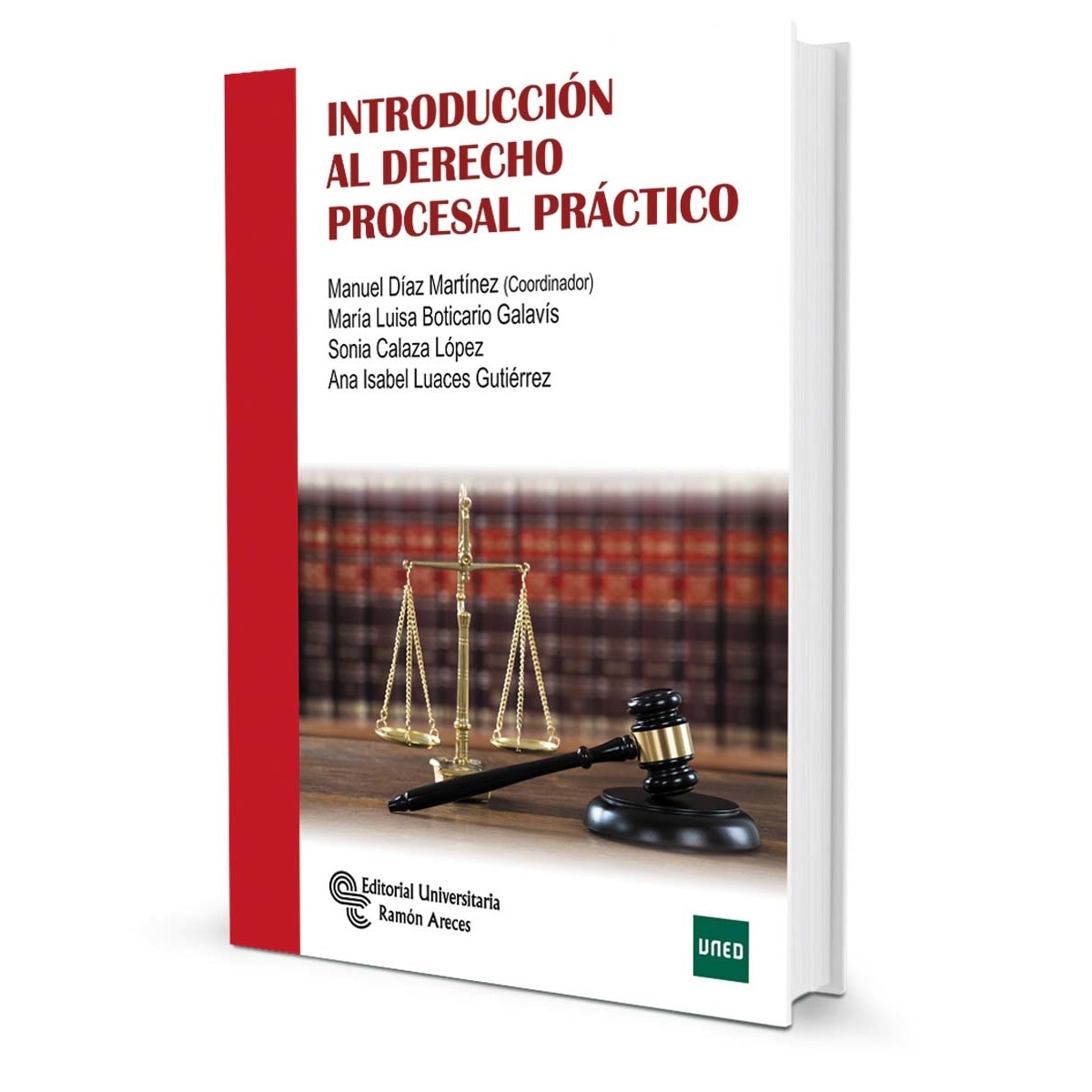 Introducción al Derecho Procesal práctico (Capa mole) 1
