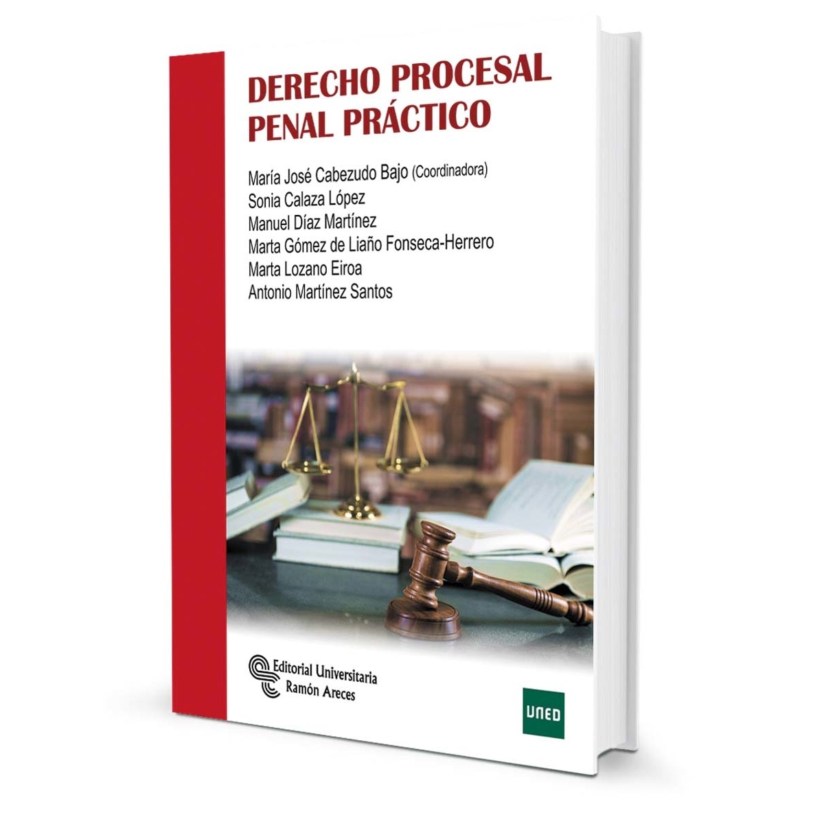 Derecho procesal penal práctico (Capa mole) 1