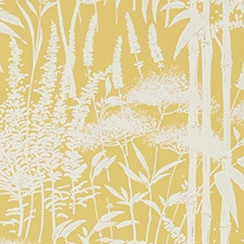 Ocre