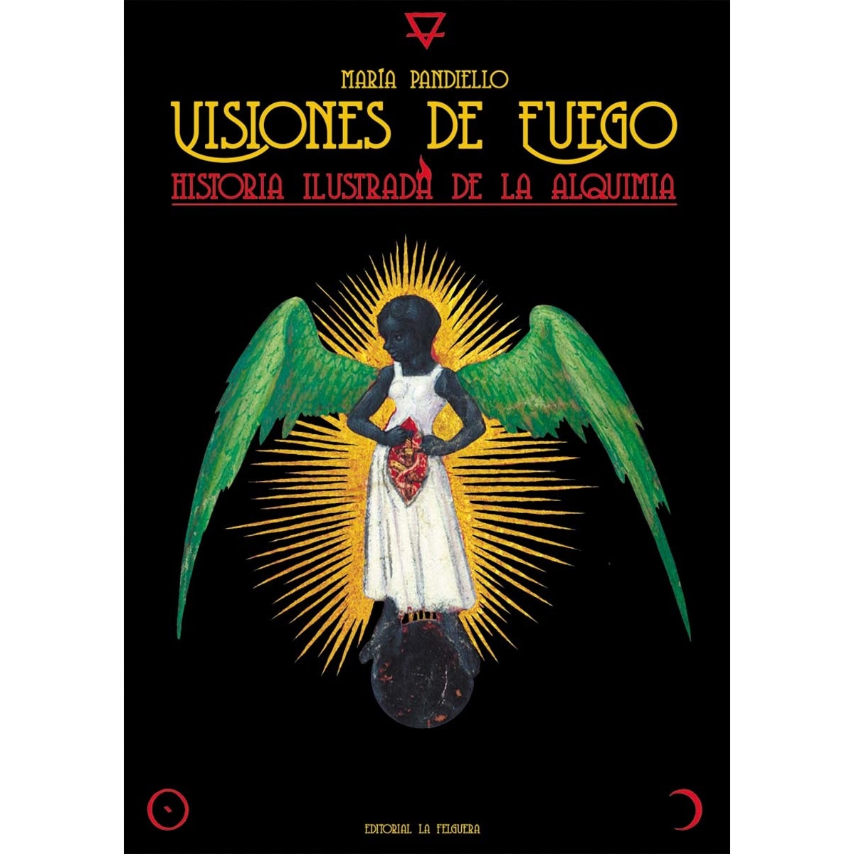 Imagem 0 de VISIONES DE FUEGO: HISTORIA ILUSTRADA DE LA ALQUIMIA