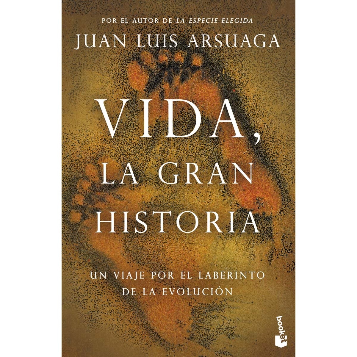 Imagem 0 de Vida, la gran historia: Un viaje por el laberinto de la evolución (Capa mole com abas)