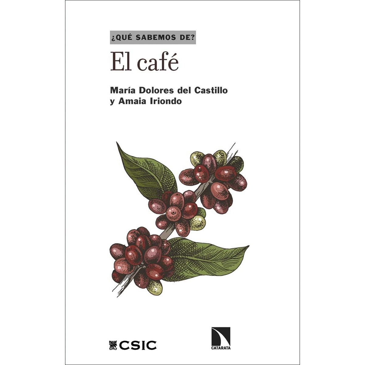 El café (Capa mole) 1