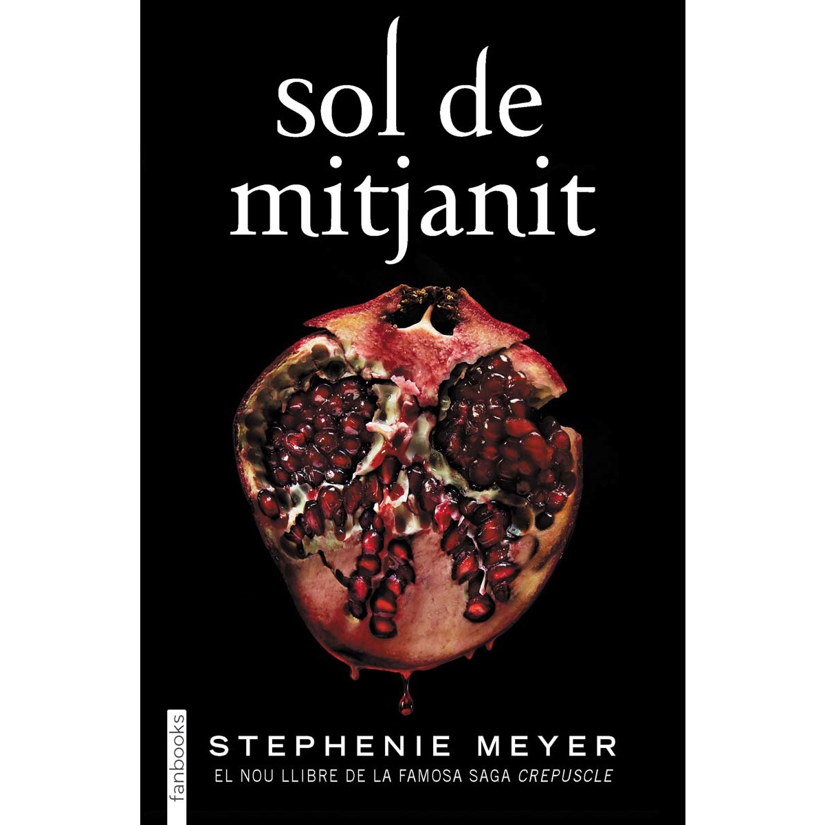 Sol de mitjanit (Capa mole com abas) 1