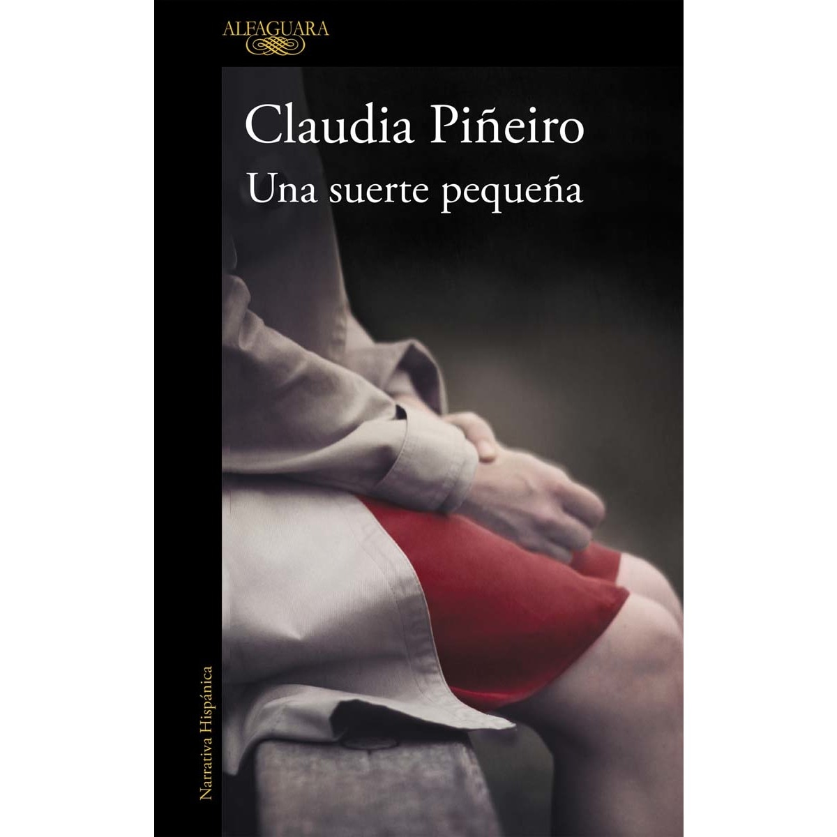 Imagen 0 de Una suerte pequeña (Tapa blanda)