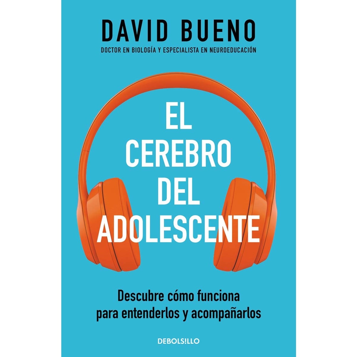 Imagem 0 de El cerebro del adolescente: Descubre cómo funciona para entenderlos y acompañarlos