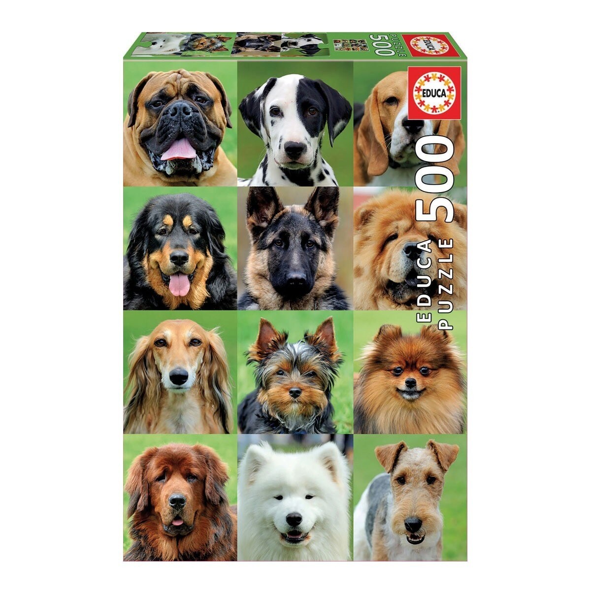 Puzzle Educa 500: Sortido 9