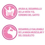 Junior comida húmeda para gatos cachorros con salmón y zanahorias 4 sobres 85 g