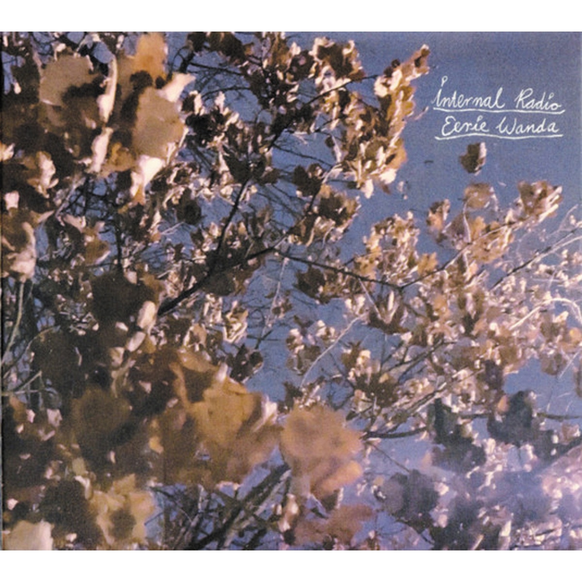 Imagem 0 de Internal radio (Edição Color) (LP-Vinil)