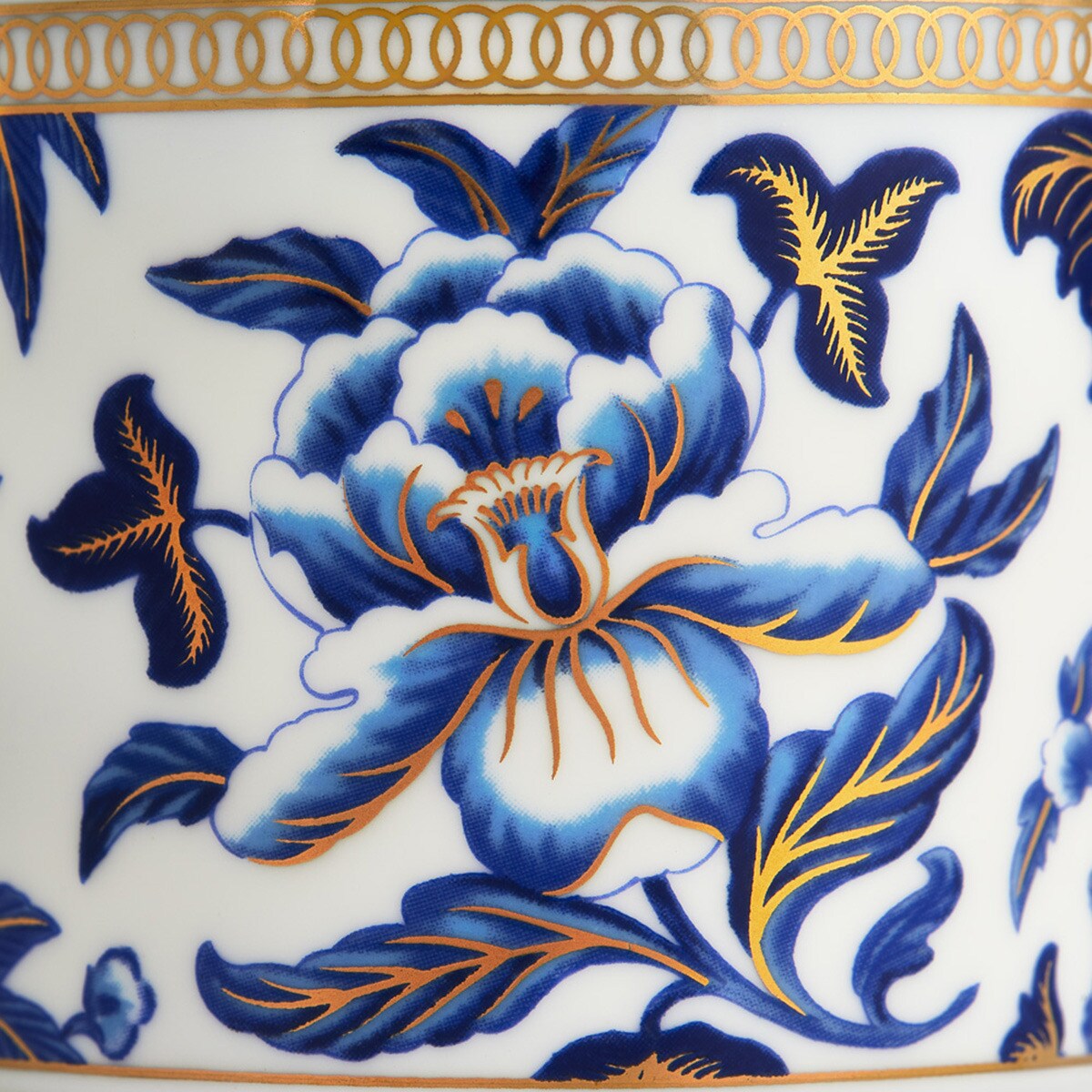 Leiteira Hibiscus Azul-4