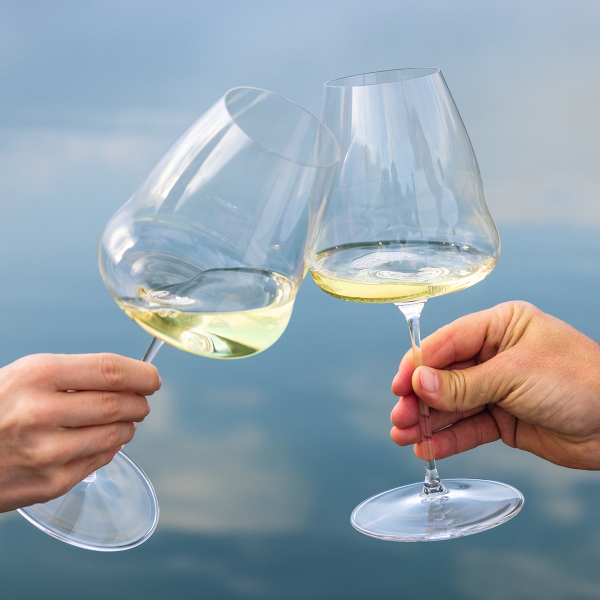 Copo de Champanhe Winewings Riedel Transparente-4