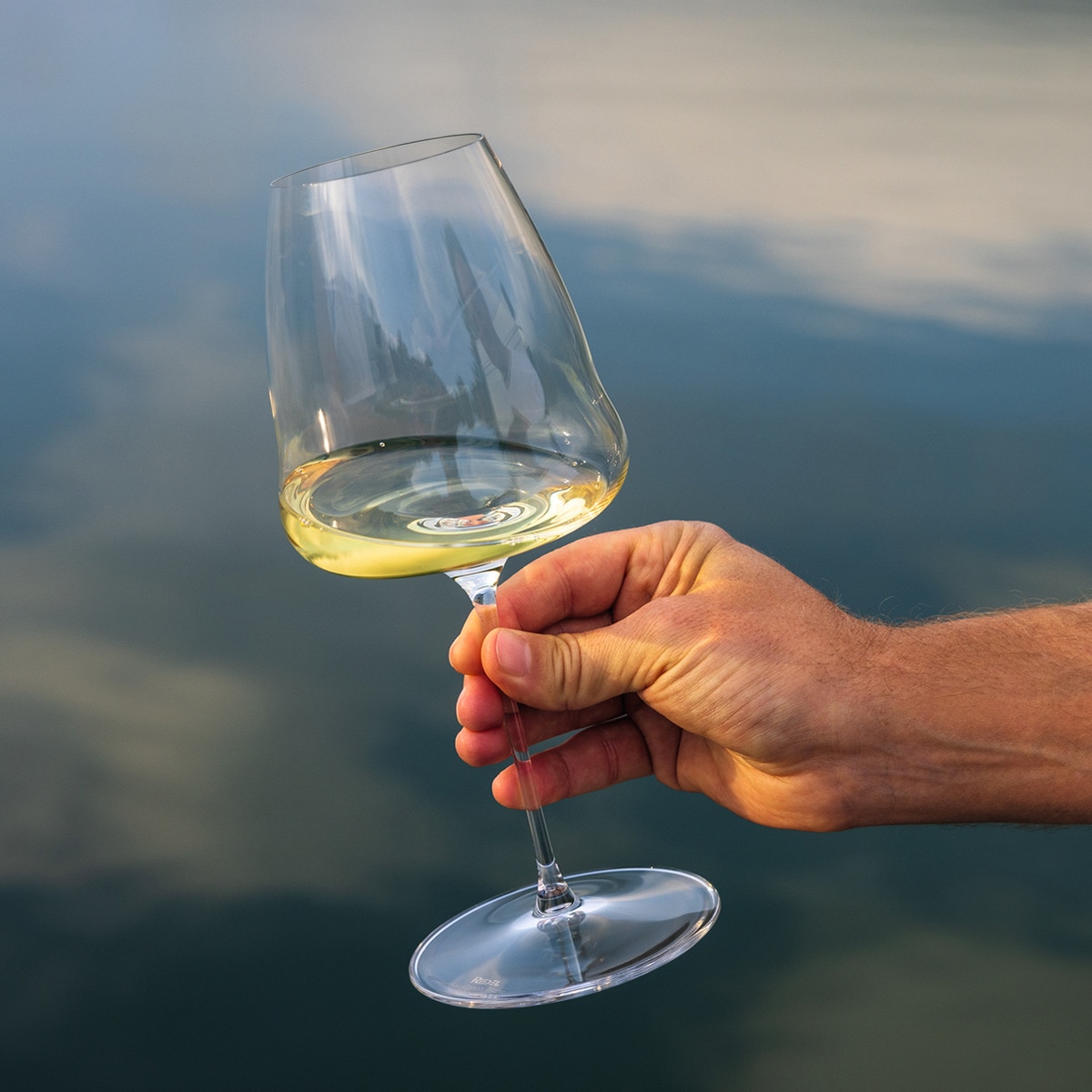 Copo de Champanhe Winewings Riedel Transparente-3