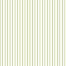 Verde Azeitona