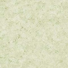 Verde Azeitona