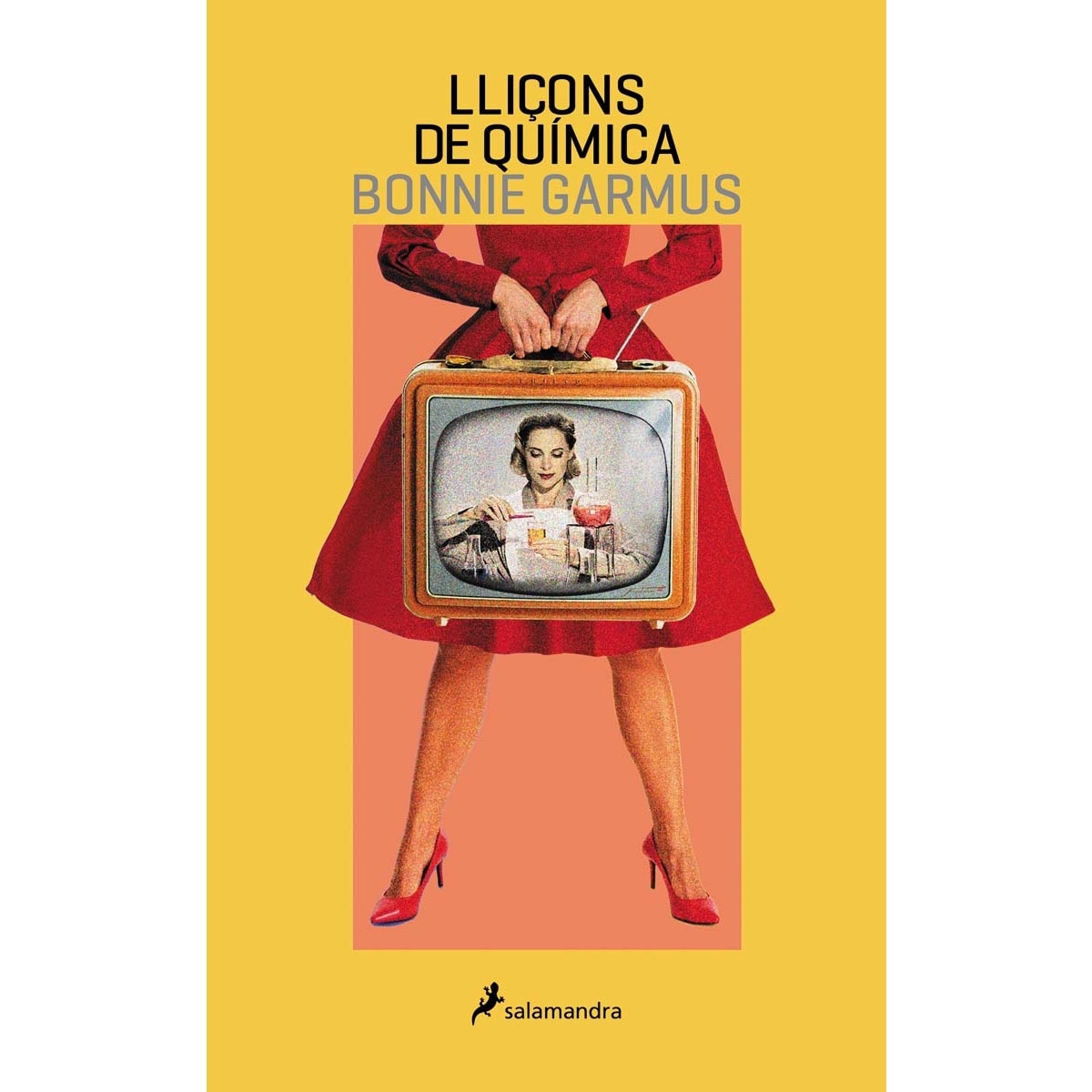 Lliçons de química (Capa mole) 1