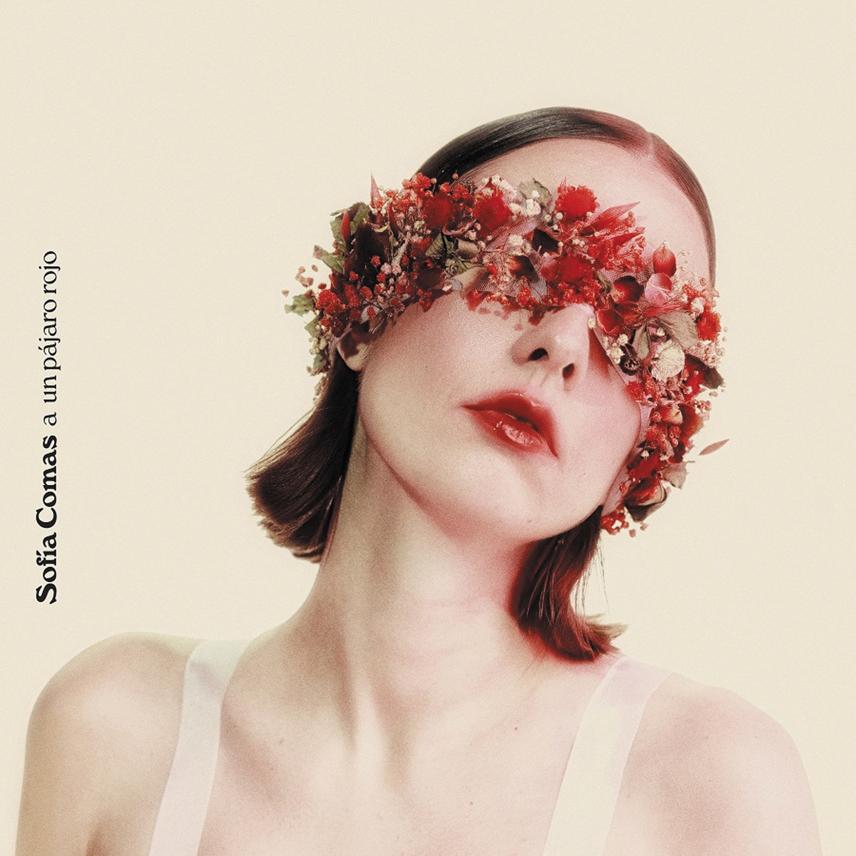 Imagem 0 de A un pájaro rojo (Edição Limitada Color) (LP-Vinil)